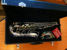 Saxofon Pearl River Alto foto