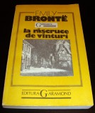 LA RASCRUCE DE VANTURI - Emily Bronte, Alta editura