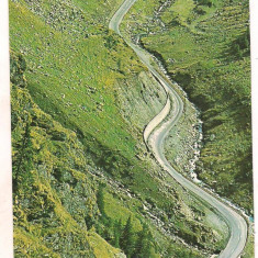 #carte postala(ilustrata)-TRANSFAGARASAN-vedere