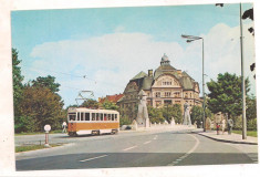 #carte postala(ilustrata)-TIMISOARA-Baile Neptun foto