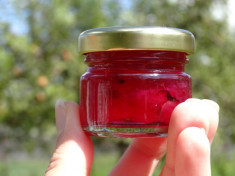 Marturii nunta/botez borcanele cu dulceata de trandafiri foto