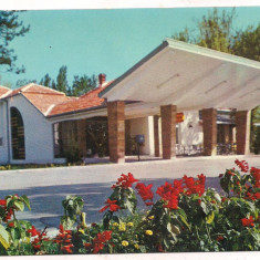 #carte postala(ilustrata)-TIMISOARA-Motel Timis