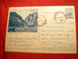 Carte postala ilustrata- Cabana Cheile Turzii , com.375/1965, tiraj redus