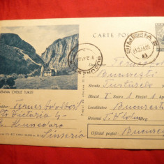 Carte postala ilustrata- Cabana Cheile Turzii , com.375/1965, tiraj redus