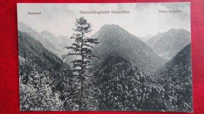 Carte postala - Buleatal - Valea Doamna - Necirculat - Perfecta foto