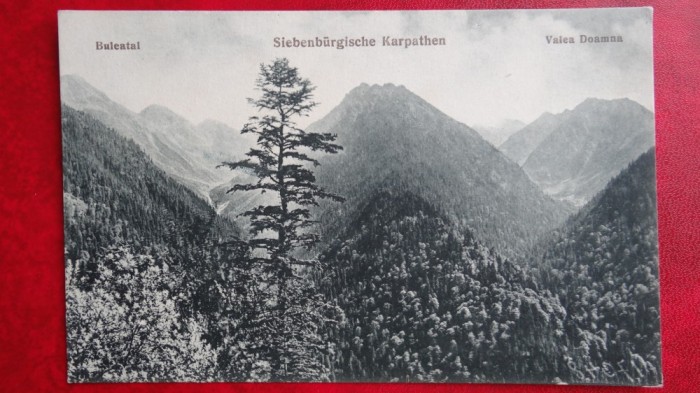 Carte postala - Buleatal - Valea Doamna - Necirculat - Perfecta