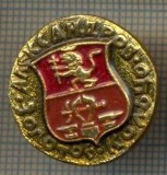 1489 INSIGNA HERALDICA -- ALECSANDROV - URSS -starea care se vede