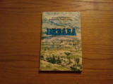 BREAZA - Geografie Istorie Turism - M. Stancioiu, E. Copacianu - 1985, Alta editura