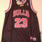 Maieu Chicago Bulls Michael Jordan