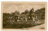 706 - FOCSANI, Vrancea, gardening - old postcard - used - 1925