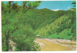 #carte postala(ilustrata)-VALCEA-BREZOI-Valea Lotrului, Circulata, Printata