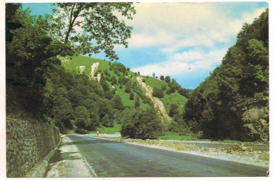 #carte postala(ilustrata)-VALCEA-BREZOI-Valea Lotrului foto