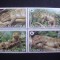 Solomon 2005 fauna soparle MI 1282-1285 MNH