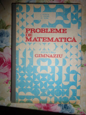 Probleme de matematica pentru gimnaziu (447 pagini)-Ion Petrica,Cornel Stefan,Stefan Alexe foto