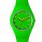 Ceas Dama Ice-Watch Verde 100-AKD442