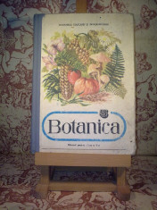 Alexandru Dabija - Botanica manual pentru clasa a V a &amp;quot;A1187&amp;quot; foto