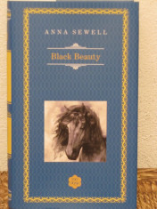 BLACK BEAUTY - ANNA SEWELL (RAO, AN 2015) foto