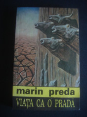 MARIN PREDA - VIATA CA O PRADA foto