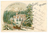 2566 - SINAIA , Prahova, winter, PELES tower, Litho - old postcard - used - 1899, Circulata, Printata