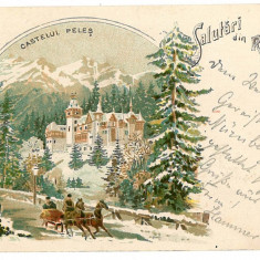 2566 - SINAIA , Prahova, winter, PELES tower, Litho - old postcard - used - 1899