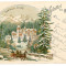 2566 - SINAIA , Prahova, winter, PELES tower, Litho - old postcard - used - 1899