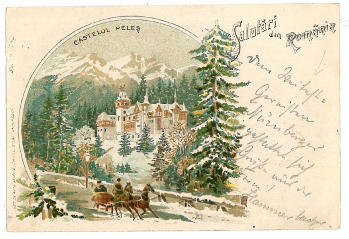 2566 - SINAIA , Prahova, winter, PELES tower, Litho - old postcard - used - 1899