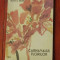 carte --- Carnavalul florilor de Silvia C. Negru / Ed. Facla 1985 - 48 pagini