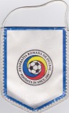 Fanion Federatia de Fotbal din Romania (FRF)