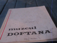 ION ARDELEANU - MUZEUL DOFTANA foto