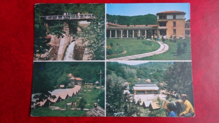 Vedere/Carte postala - RPR - Olanesti