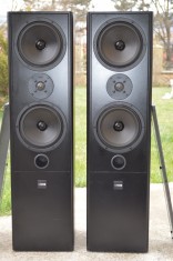 Boxe Canton Fonum 601 foto