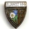 INSIGNA RPR ALPINIST GRADUL I