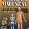 CORPUL OMENESC - TESTE DE ANATOMIE