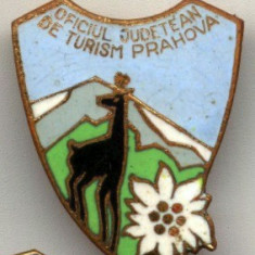 INSIGNA OJT OFICIUL JUDETEAN DE TURISM PRAHOVA