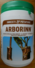 Arborinn Mastic pentru altoit profesional 1 kg altoire Italia foto