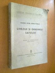 LIVEZILE SI GRADINILE SATULUI - PETRE G. STANCULESCU CALAUZA SECTIEI AGRICULTORI foto