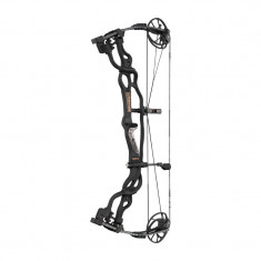 Arc compound Hoyt Carbon Spyder ZT 30 foto