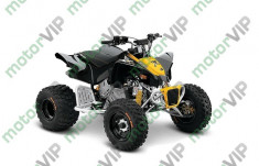 ATV Can-Am DS 90 X foto