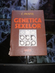 genetica sexelor C, Panfil foto