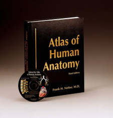 Atlas Anatomie Umana NETTER third edition foto