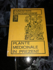 Plante medicinale in prezent foto