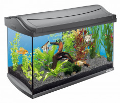 Vand ACVARIU TETRA AQUAART 60 L+Masa Acvariu AquAart 60 l+FILTRU TETRATEC 600l/h foto