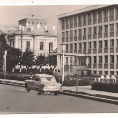 % carte postala (ilustrata)-TELEORMAN-Turnu Magurele Consiliul popular municipal