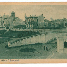 2764 - CONSTANTA, Parcul Cazinoului - old postcard - unused