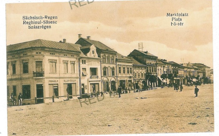 2770 - REGHIN, Mures, Market - old postcard - unused