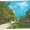 % carte postala (ilustrata)-TELEORMAN-Zimnicea Parcul
