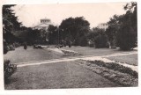 % carte postala (ilustrata)-TELEORMAN-Turnu Magurele Aspect din parc