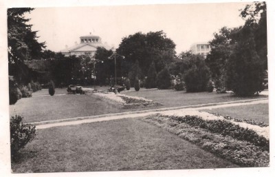 % carte postala (ilustrata)-TELEORMAN-Turnu Magurele-vedere din parc foto