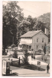 % carte postala (ilustrata ) -ARAD-Moneasa Vila nr.2
