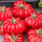 Tomate FIORENTINO - LEGUME RARE - plic cu 10 seminte BIO, Viabilitate, 2016